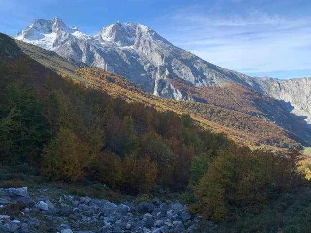 Cumbres De Los Picos Apartamento La Yedra Poo  외부 사진